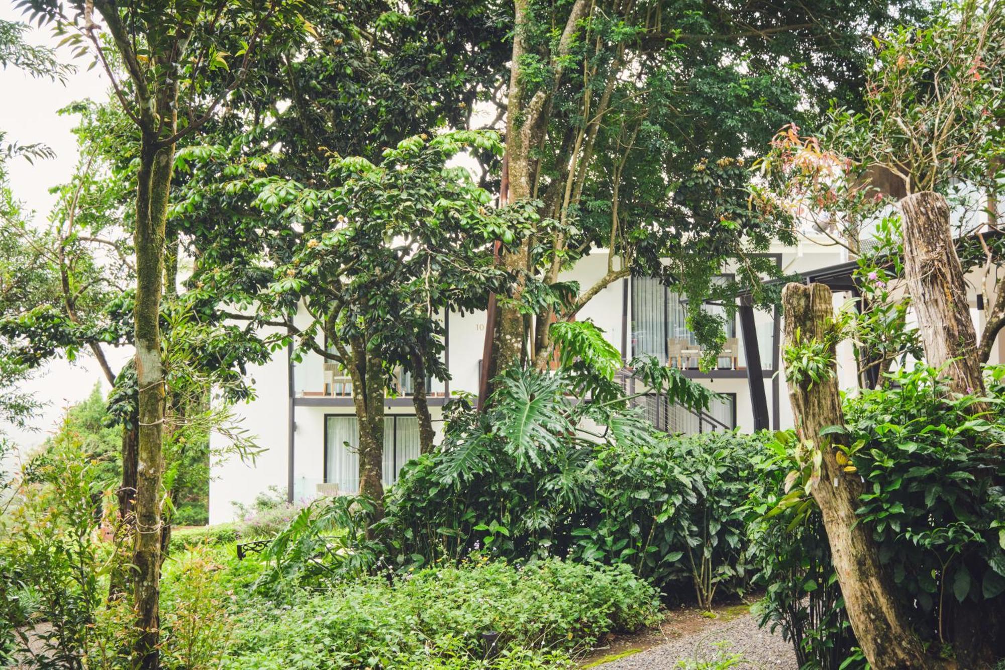 Ocotea Boutique Hotel Monteverde Екстер'єр фото